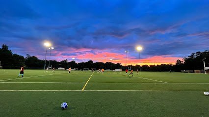 Soccer Field image 1