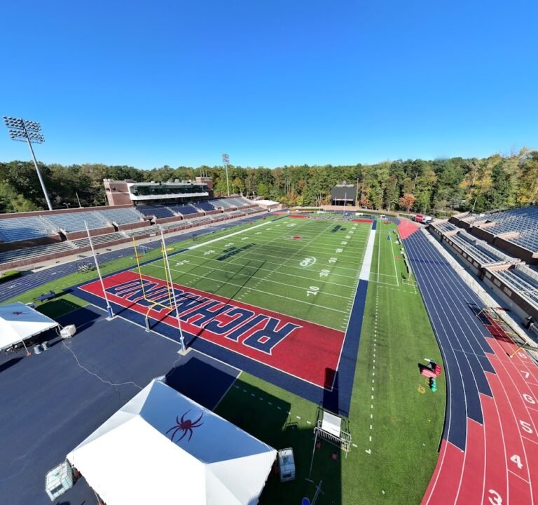 Soccer Field image 2