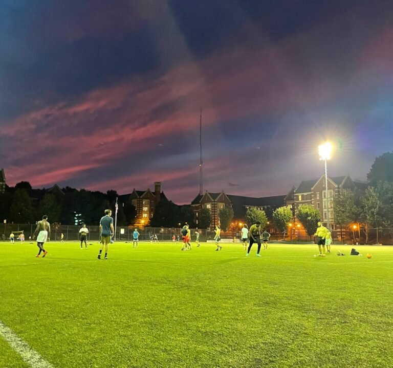 Soccer Field image 2