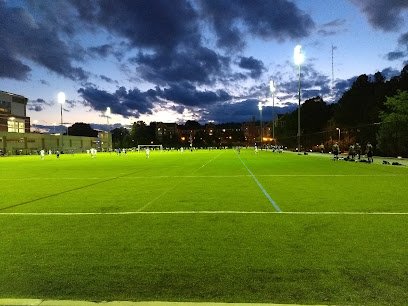 Soccer Field image 1