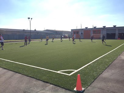 Soccer Field image 1