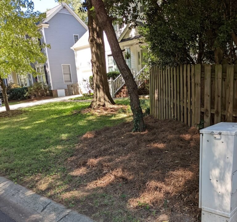 Soccer Field image 2