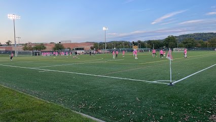 Soccer Field image 1