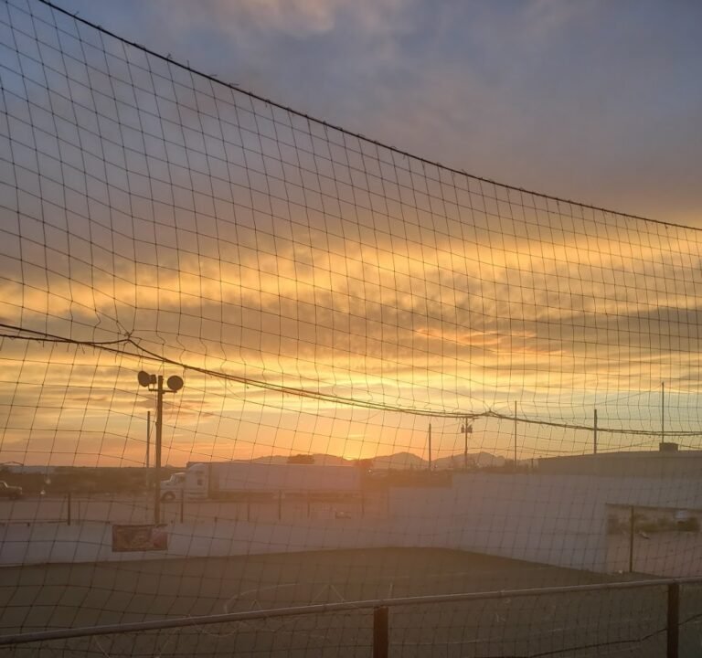 Soccer Field image 4