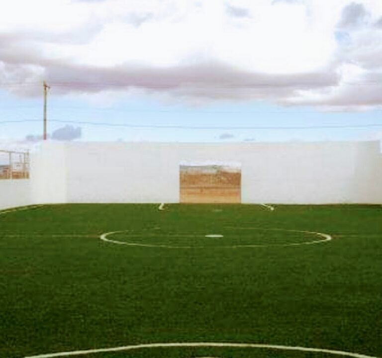 Soccer Field image 2