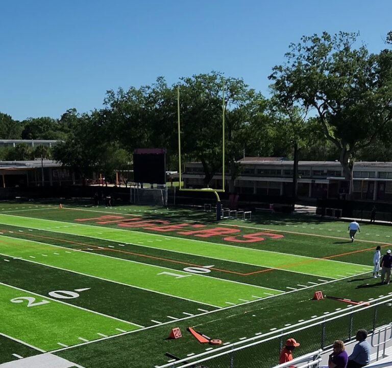 Soccer Field image 3