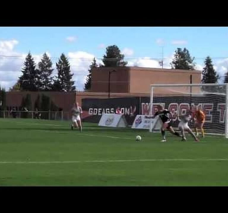Soccer Field image 3