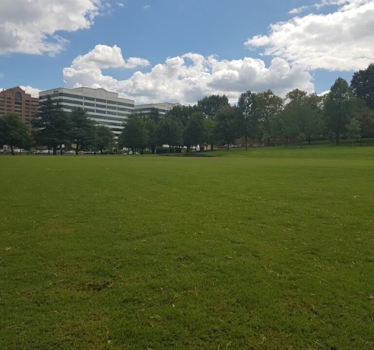 Soccer Field image 2