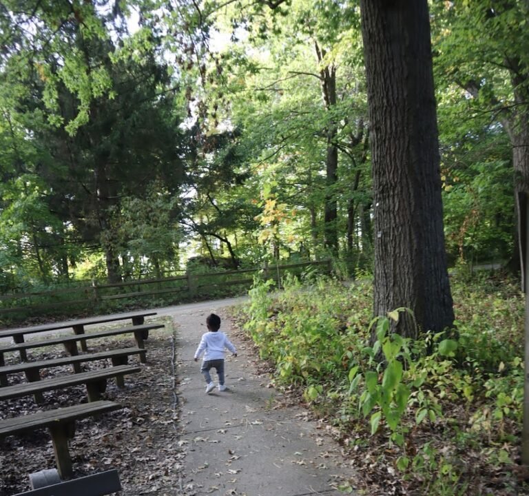 Soccer Field image 2