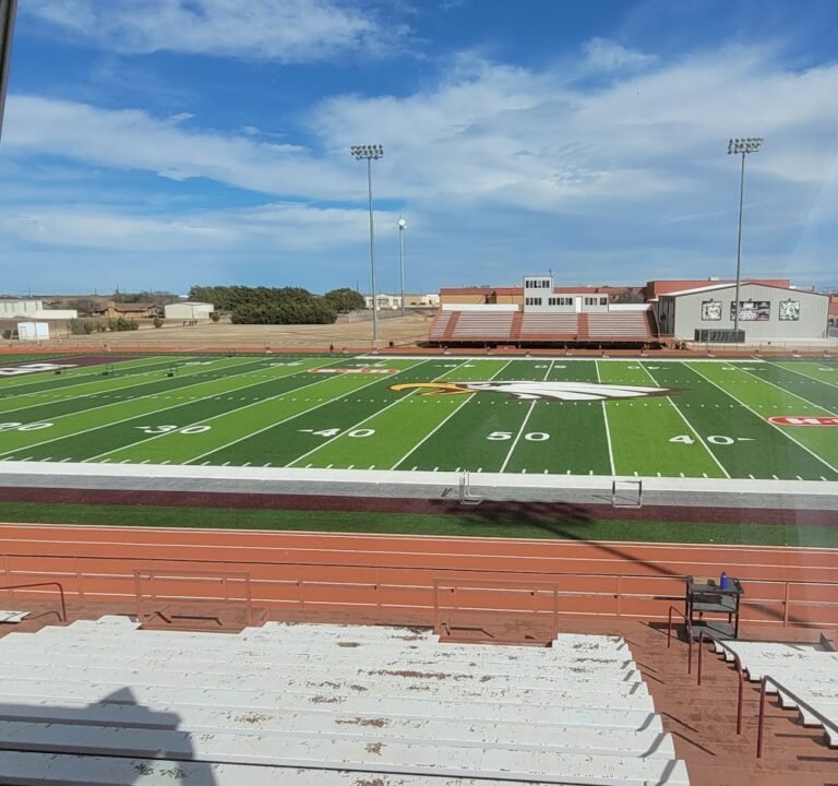 Soccer Field image 2