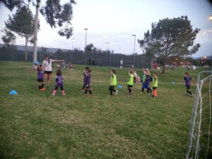 Soccer Field image 1