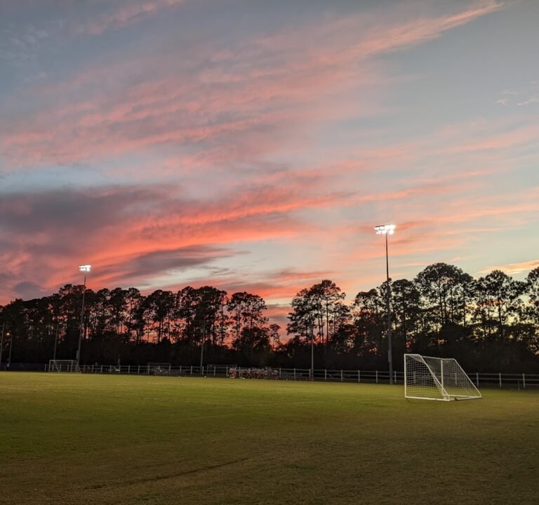 Soccer Field image 2