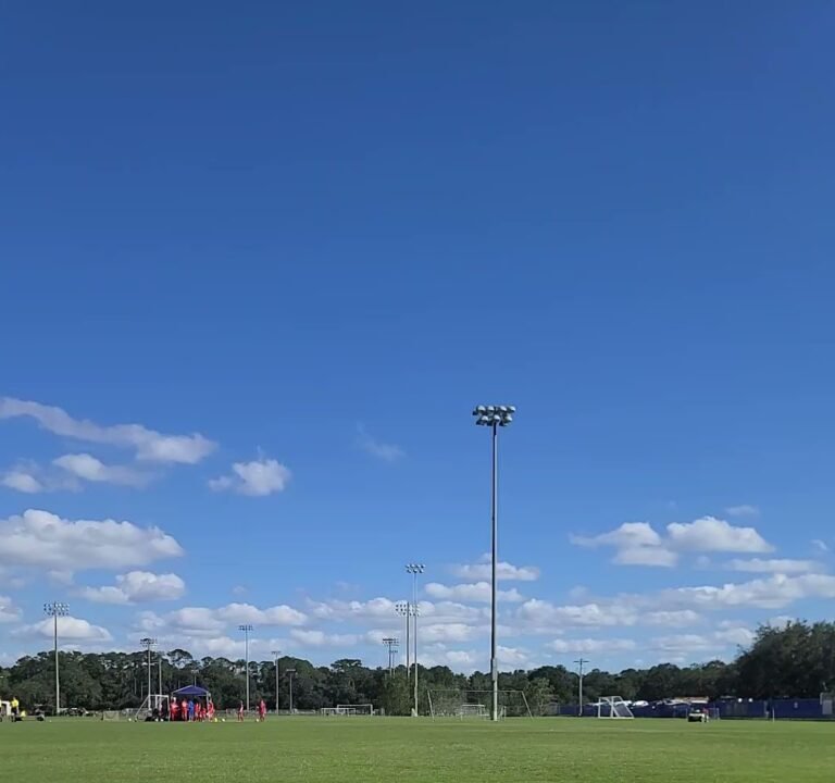 Soccer Field image 4