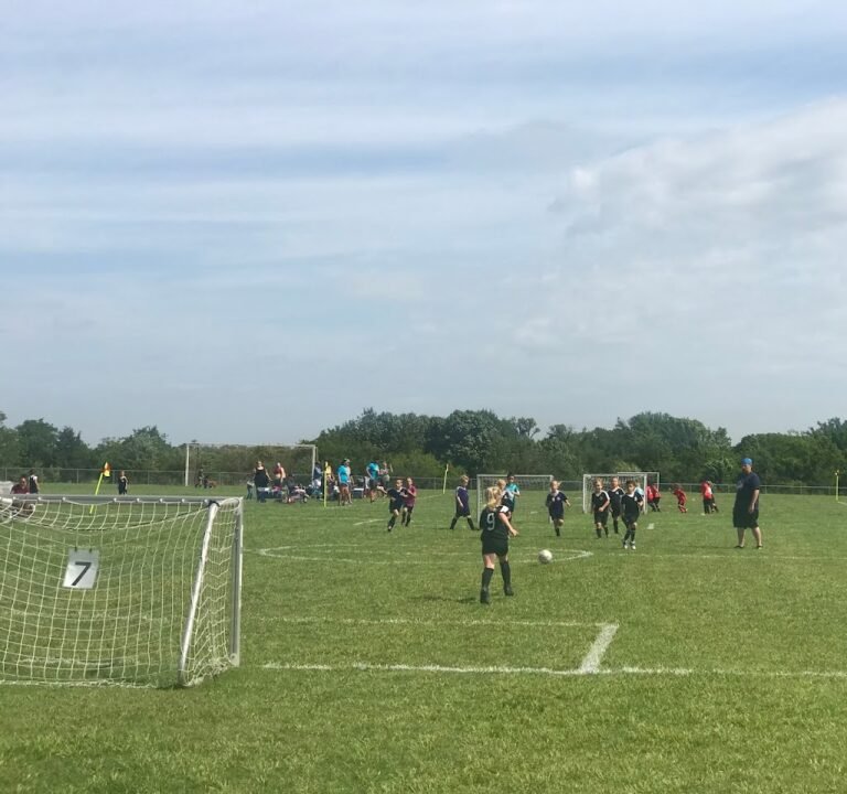 Soccer Field image 3