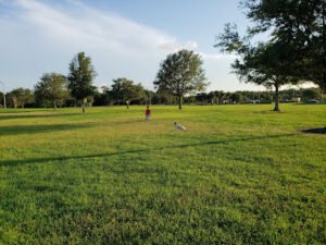 Soccer Field image 1