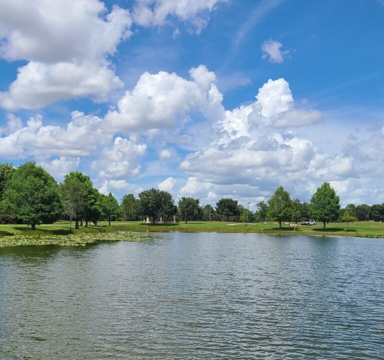 Soccer Field image 2