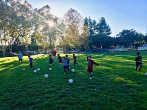 Soccer Field image 1