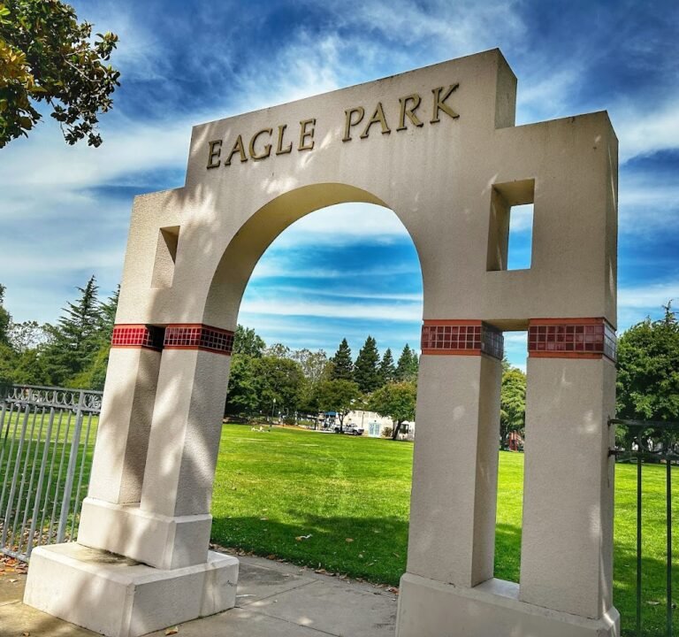 Soccer Field image 2