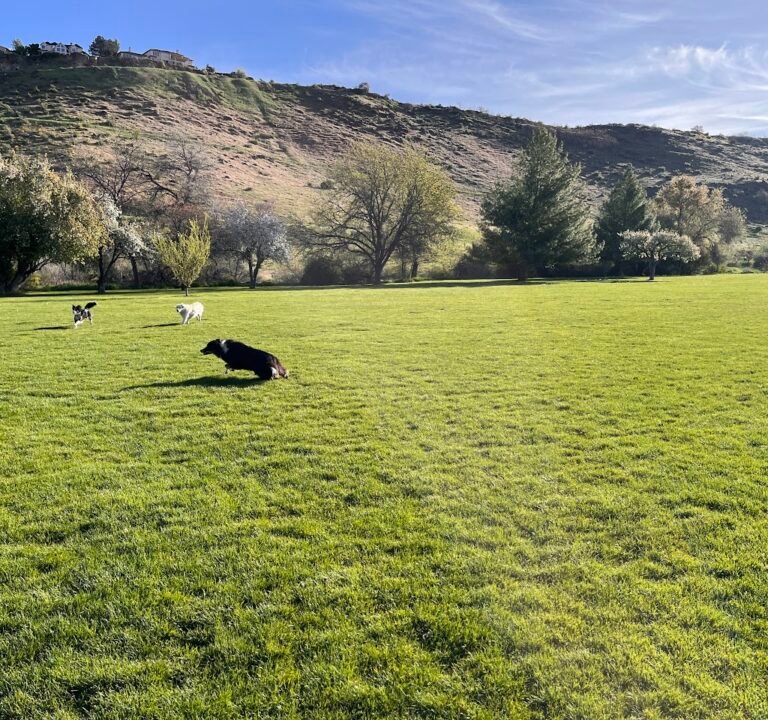 Soccer Field image 3