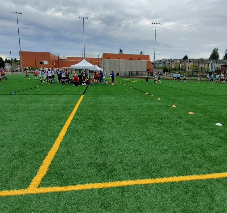 Soccer Field image 2