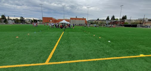 Soccer Field image 1