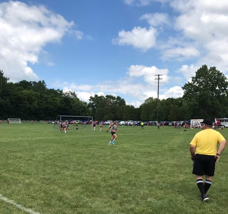 Soccer Field image 2