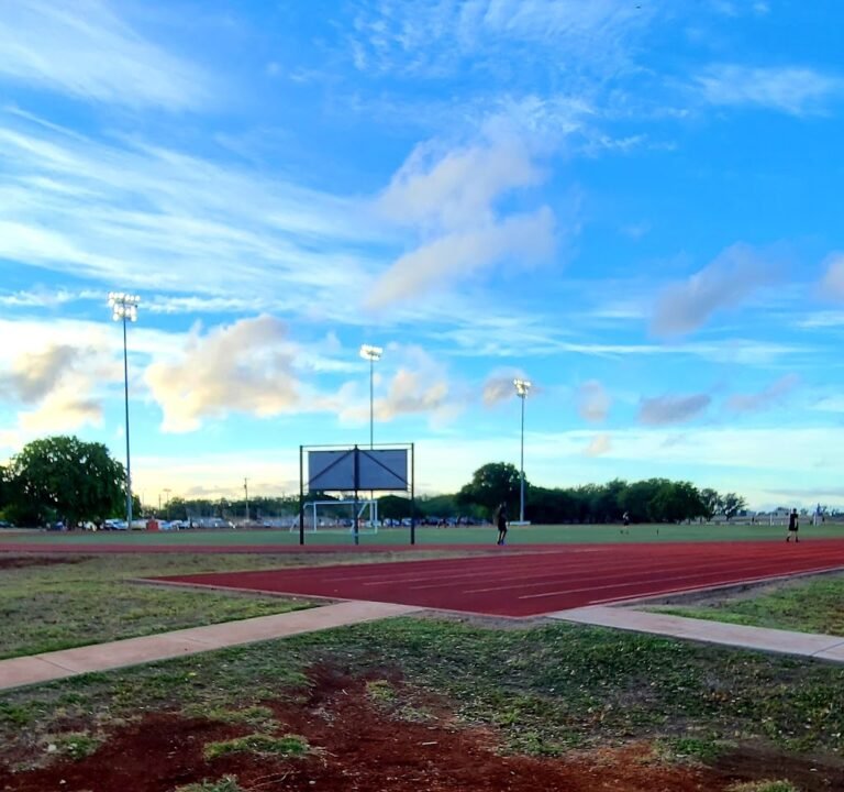 Soccer Field image 2