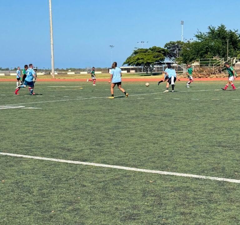 Soccer Field image 3