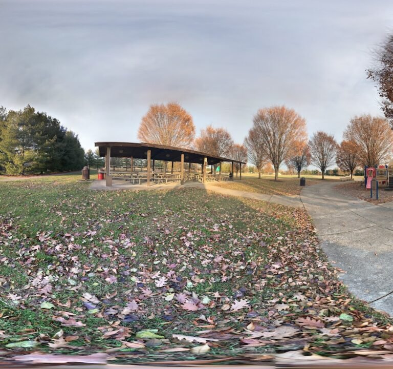 Soccer Field image 3