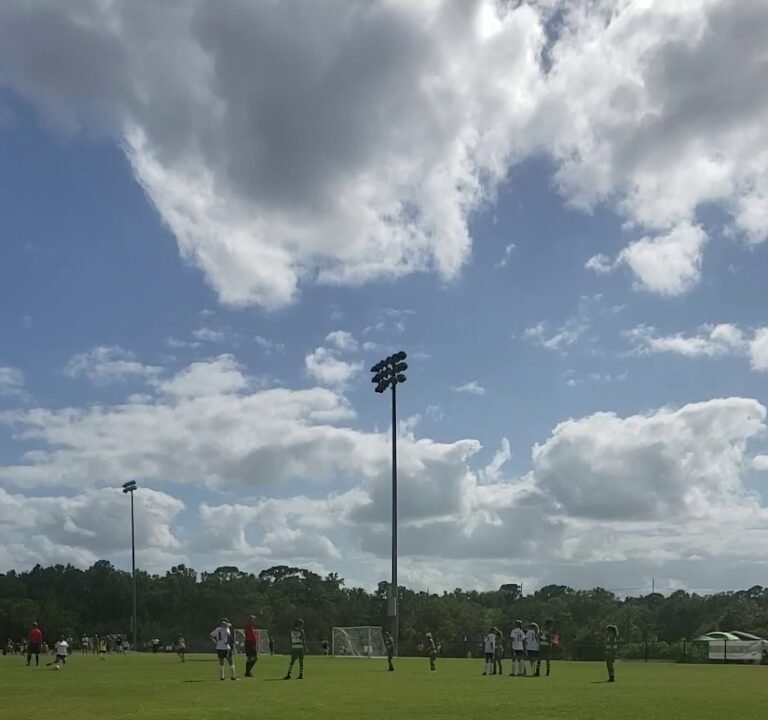 Soccer Field image 2