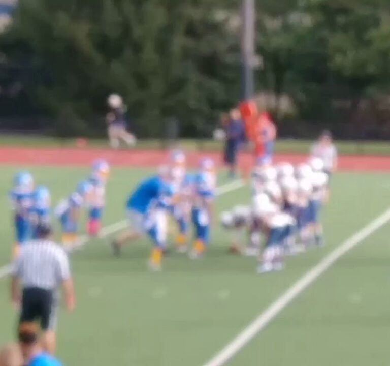 Soccer Field image 3