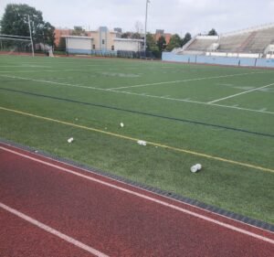 Soccer Field image 2