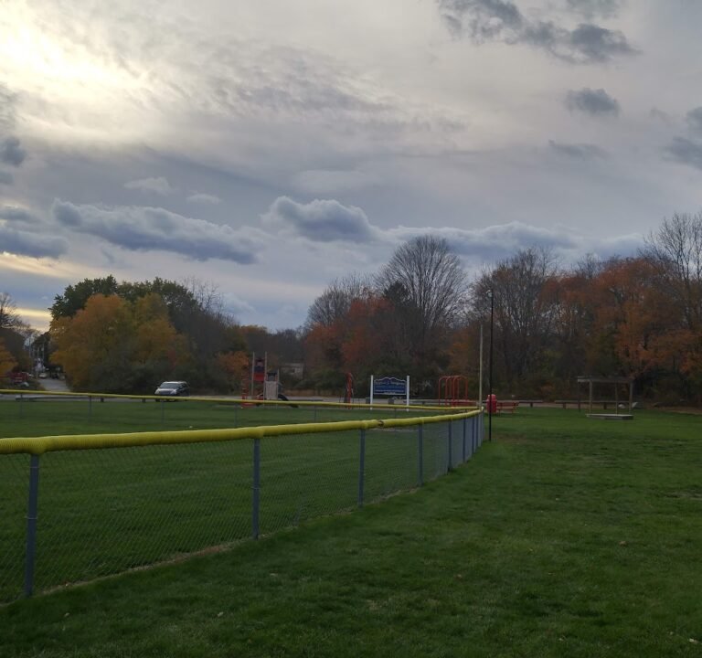 Soccer Field image 2