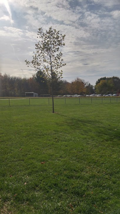 Soccer Field image 1