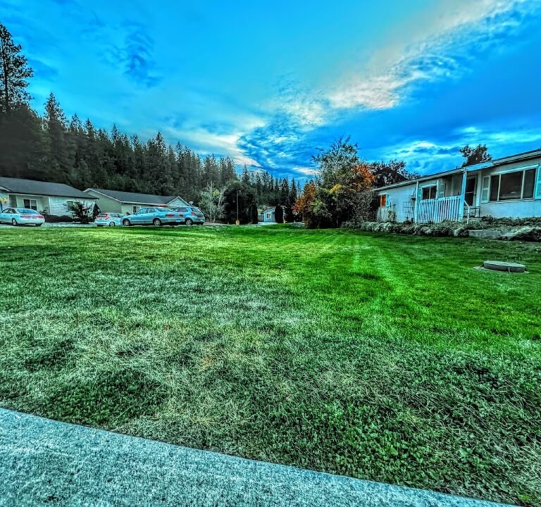 Soccer Field image 2