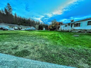 Soccer Field image 1