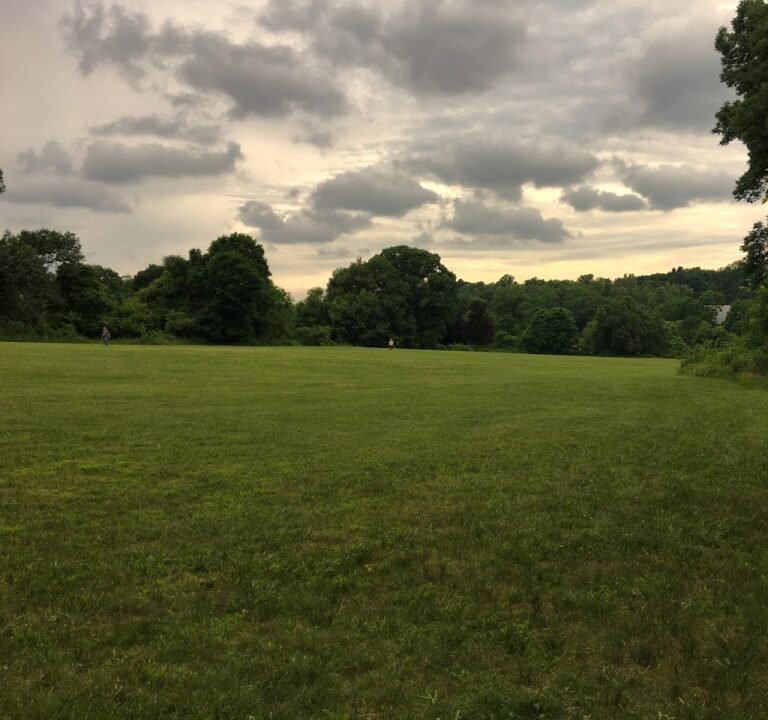 Soccer Field image 2