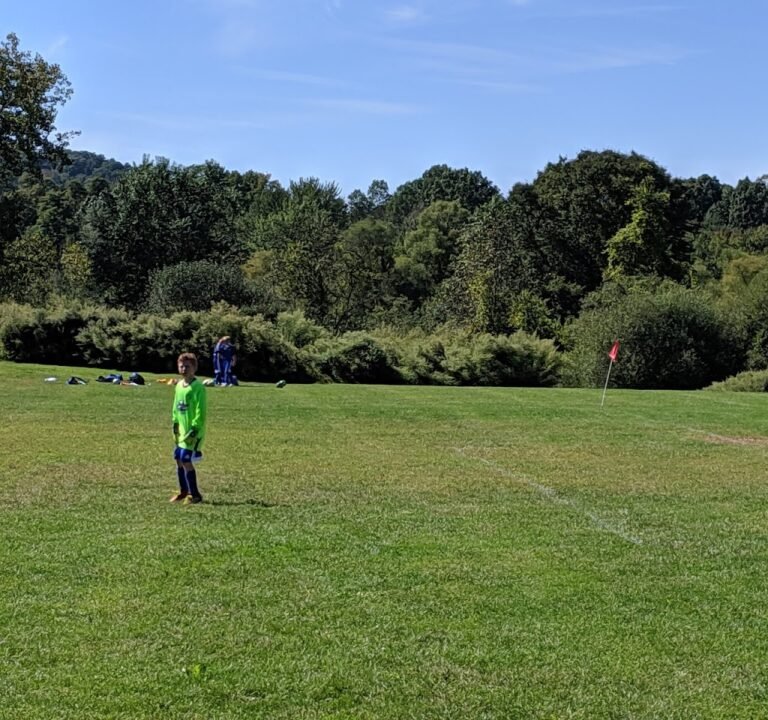 Soccer Field image 3