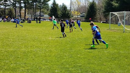 Soccer Field image 1