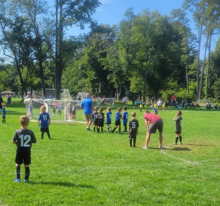 Soccer Field image 2