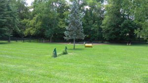Soccer Field image 1
