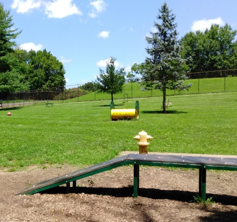 Soccer Field image 2