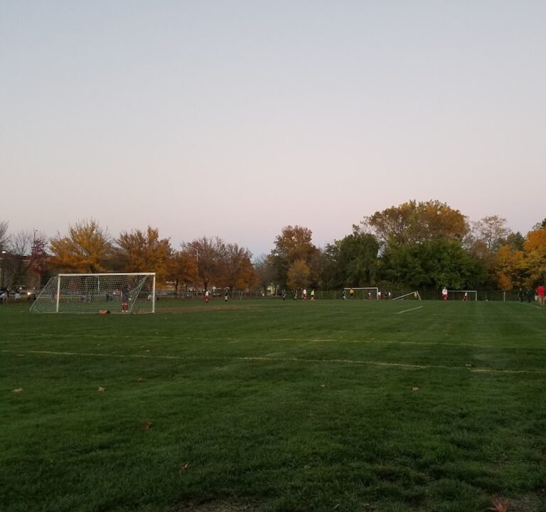 Soccer Field image 3