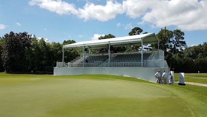 Soccer Field image 1