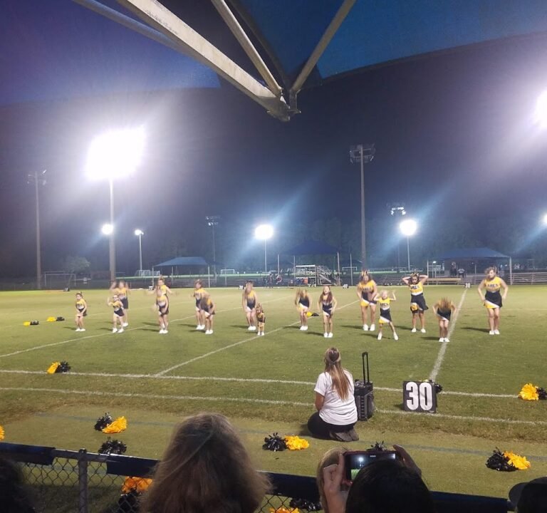 Soccer Field image 2