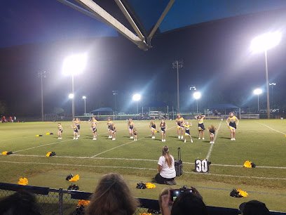 Soccer Field image 1
