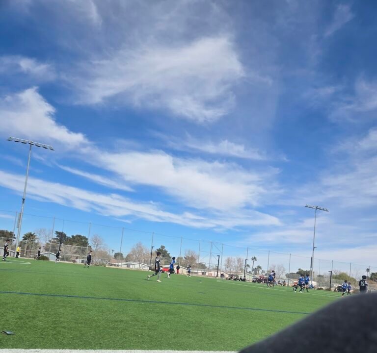 Soccer Field image 3