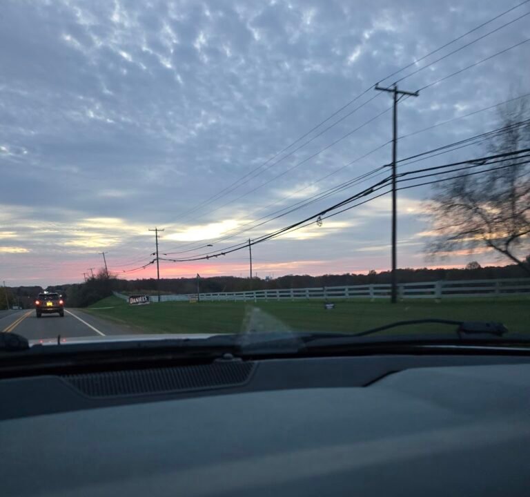 Soccer Field image 3