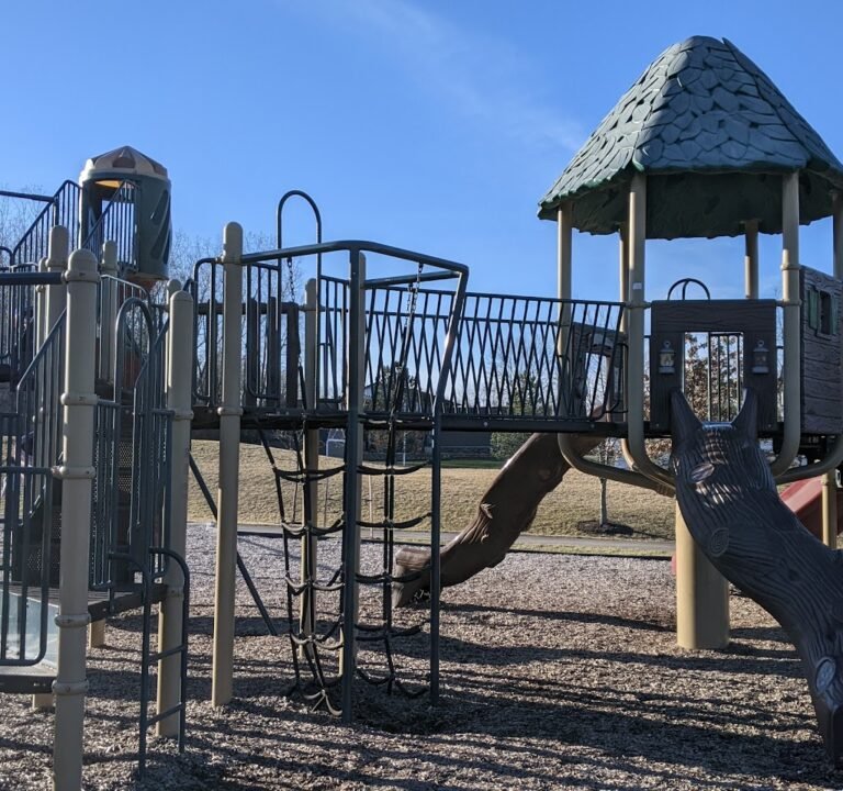 Soccer Field image 2