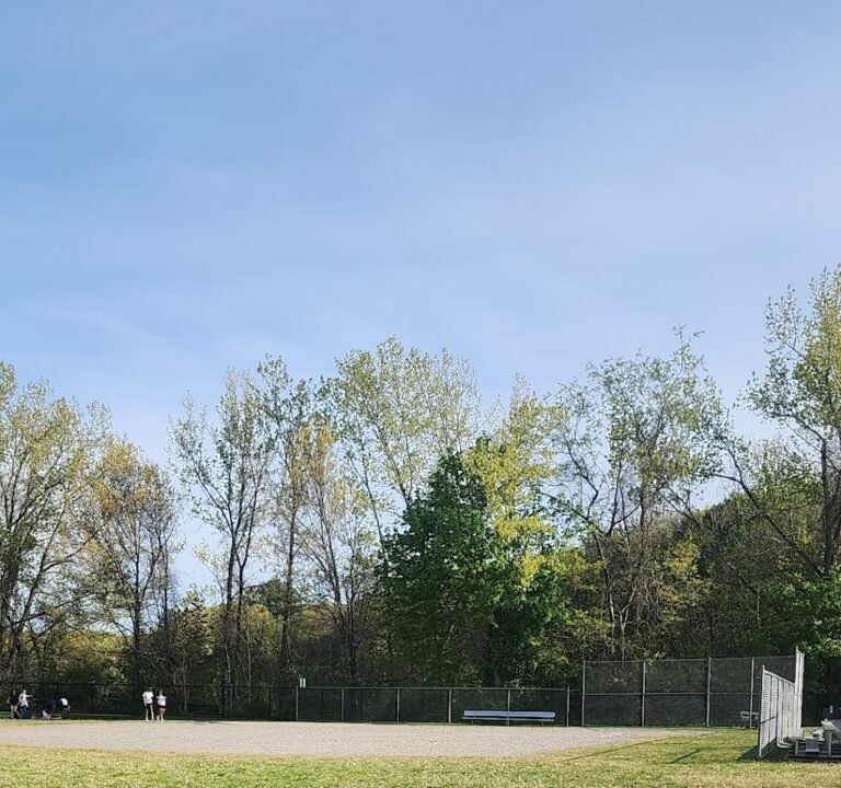 Soccer Field image 2